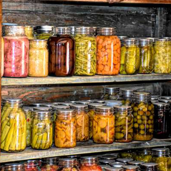 Preserving the Freshness: Essential Food Preservation Methods to Prevent Food Wastage In Africa