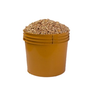 Honey Beans (Custard Bucket)