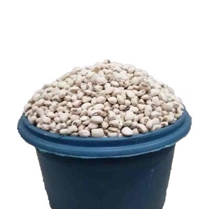 Iron Beans (Custard Bucket)