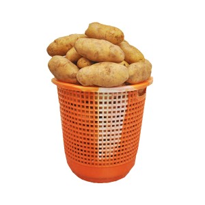 Irish Potatoes (per basket)