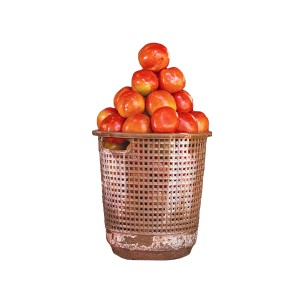 Fresh Tomatoes (basket)