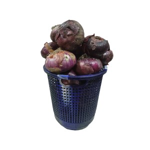 Onions (big size per basket)